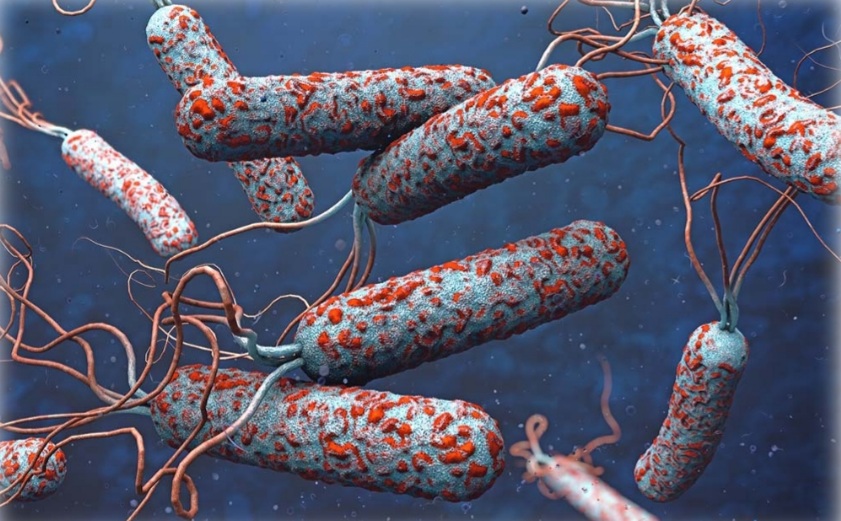 تصویر سه بعدی از پاتوژن های وبا در آب آلوده.